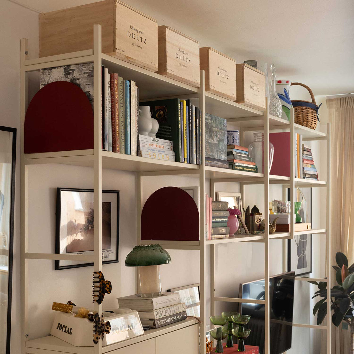 Tess Medina's shelf