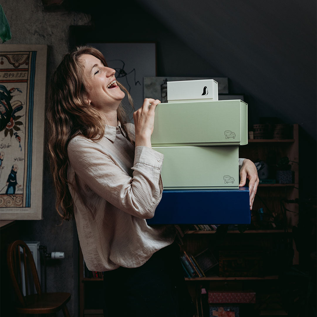 Lot de 2 boîtes de rangement Peg