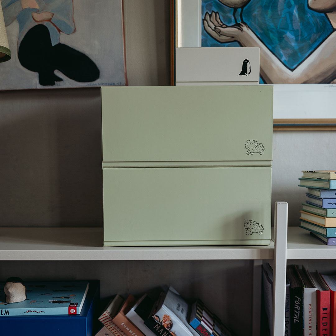 Lot de 2 boîtes de rangement Peg