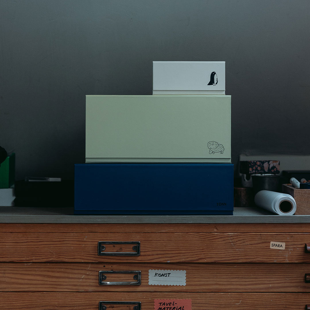 Lot de 2 boîtes de rangement Peg