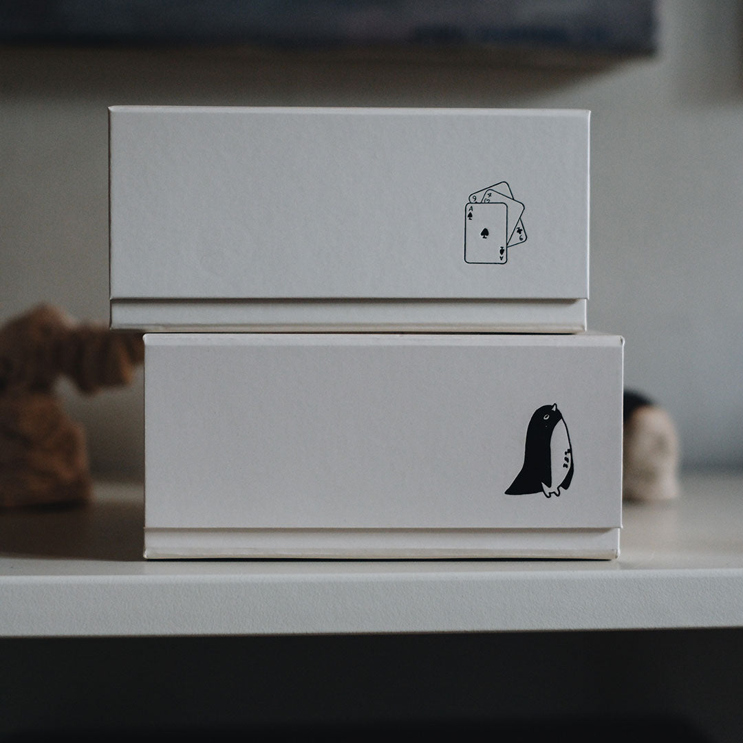 Lot de 2 boîtes de rangement Pac MAJASBOK