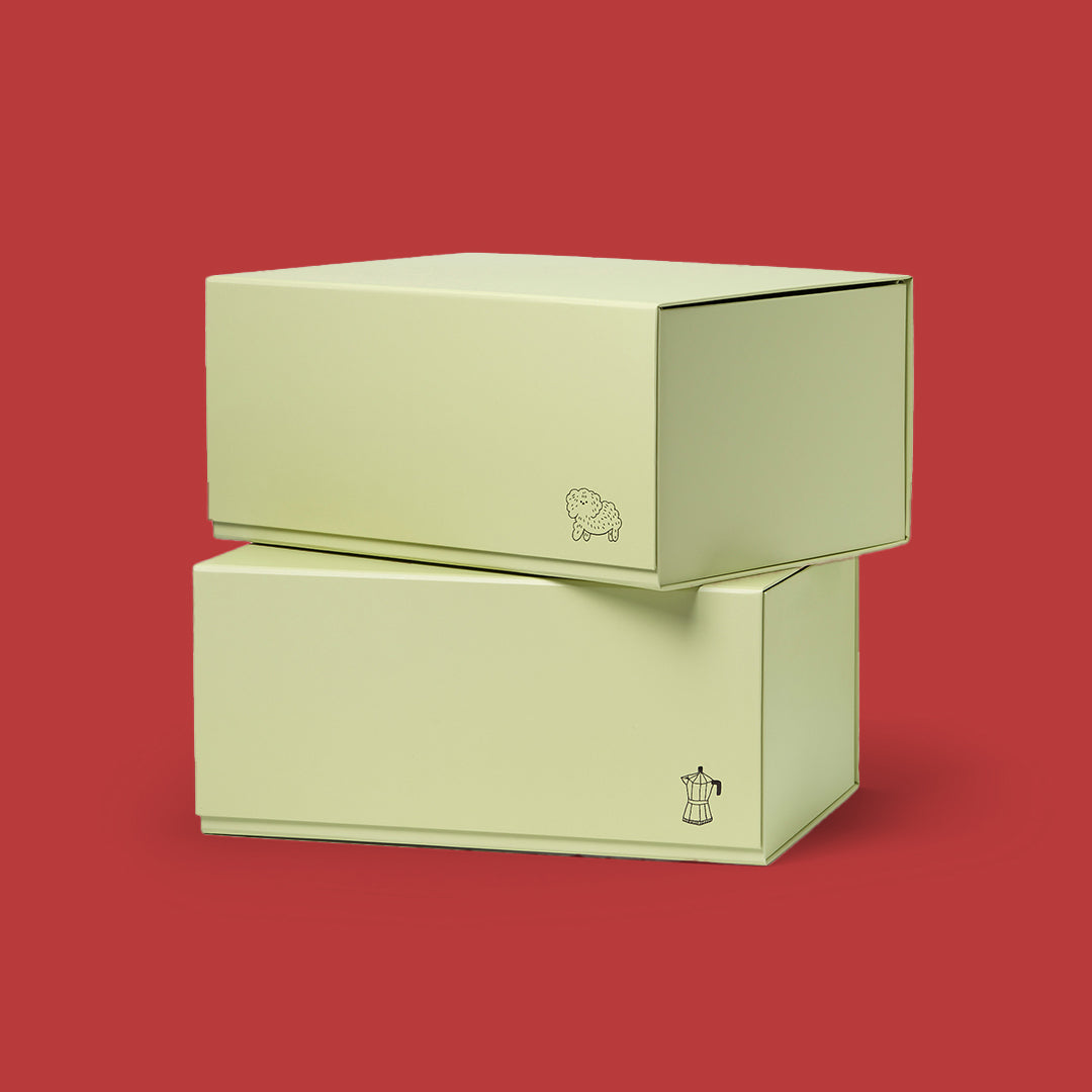 Lot de 2 boîtes de rangement Peg MAJASBOK